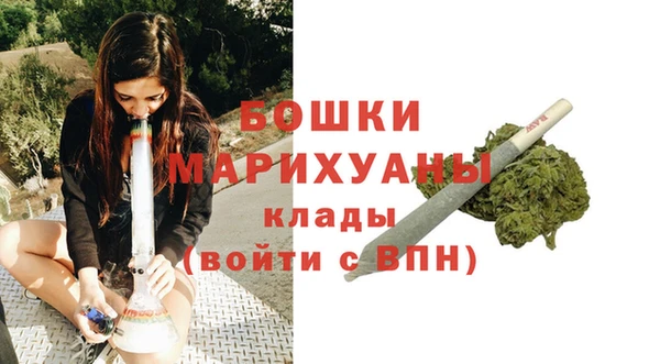 молекула духа Белокуриха