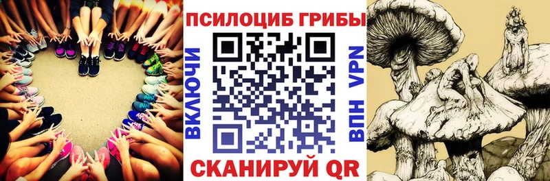 Галлюциногенные грибы Psilocybe Ленинск-Кузнецкий